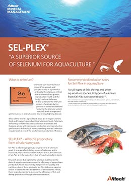 sel-plex all species flyer 2020 thumbnail image