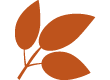 crop icon