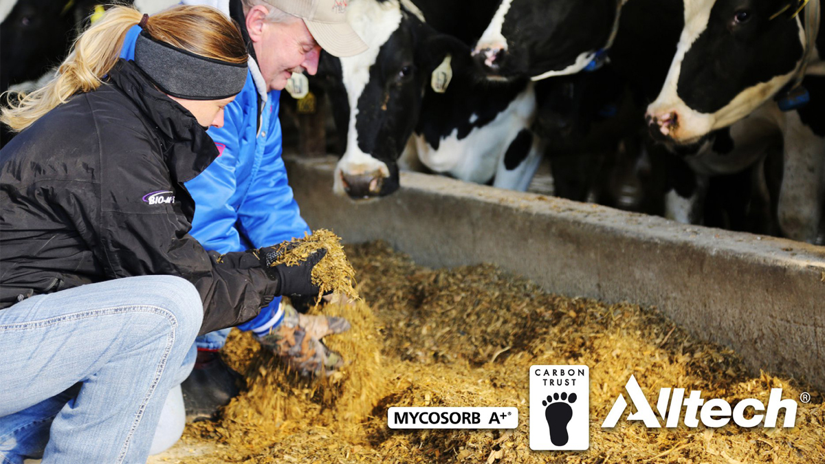 Mycosorb A+® se convierte en la última solución de Alltech en recibir la certificación de Carbon Trust