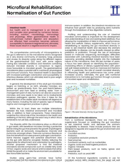 Microflora rehabilitation: Normalisation of Gut Function - Research PDF thumbnail