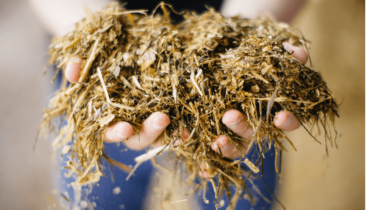 KEENAN diet feed mix close-up