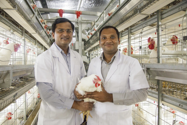 Alltech employees with poultry