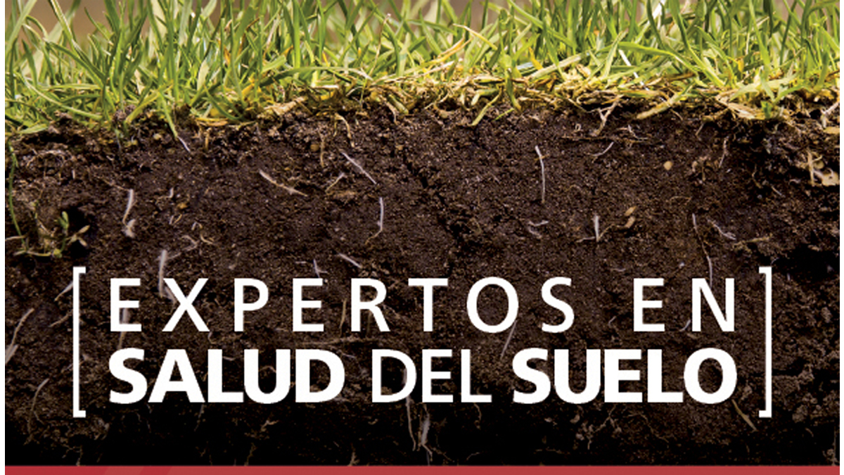 ¿Cuándo es el momento perfecto para trabajar de manera saludable el suelo?
