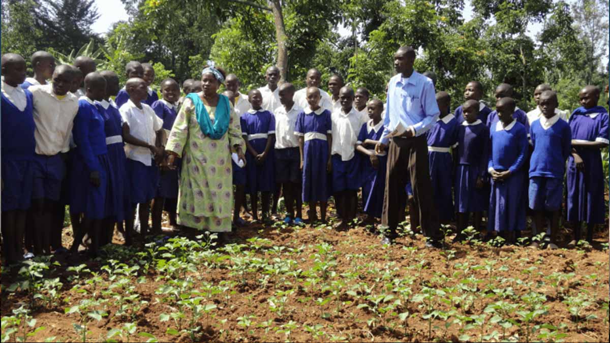 5 maneiras de resolver a fome na África