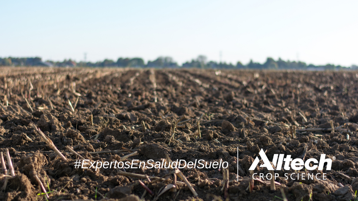 Alltech ® Crop Science obtiene el registro como biofertilizantes para dos productos más de su línea CONTRIBUTE ®