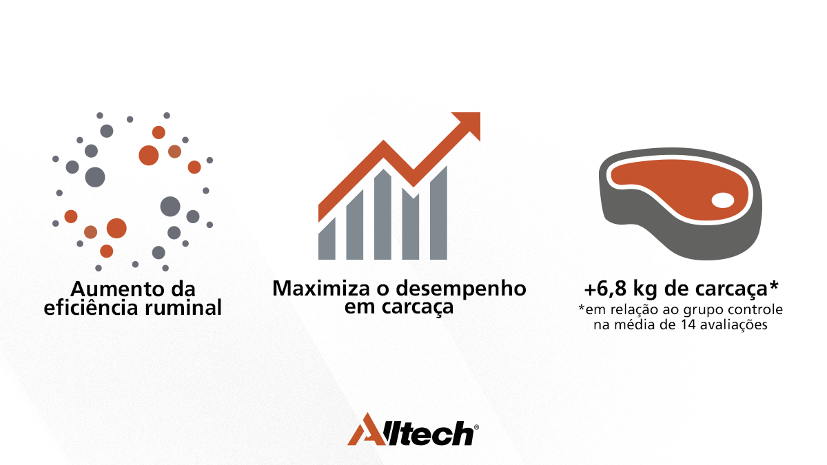 benefícios das enzimas para bovinos