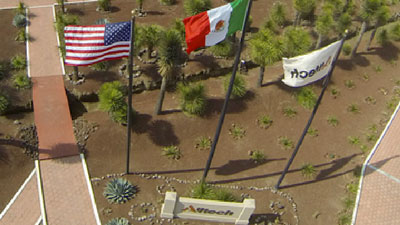 Drapeaux internationaux au bureau d'Alltech