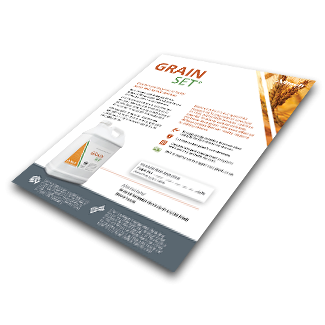 Grain-Set Product Flyer graphic