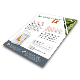 Natures Basics Product Flyer graphic