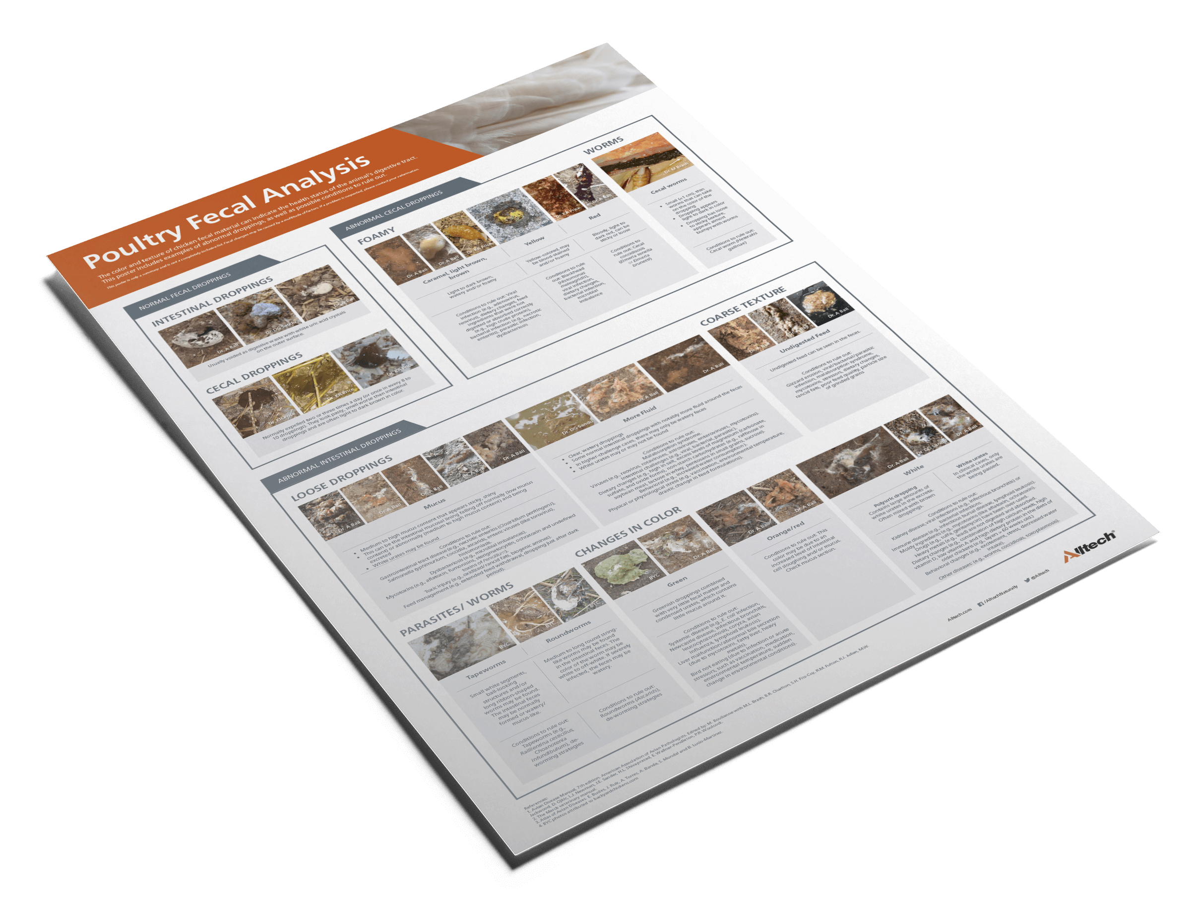 Poultry Fecal Poster
