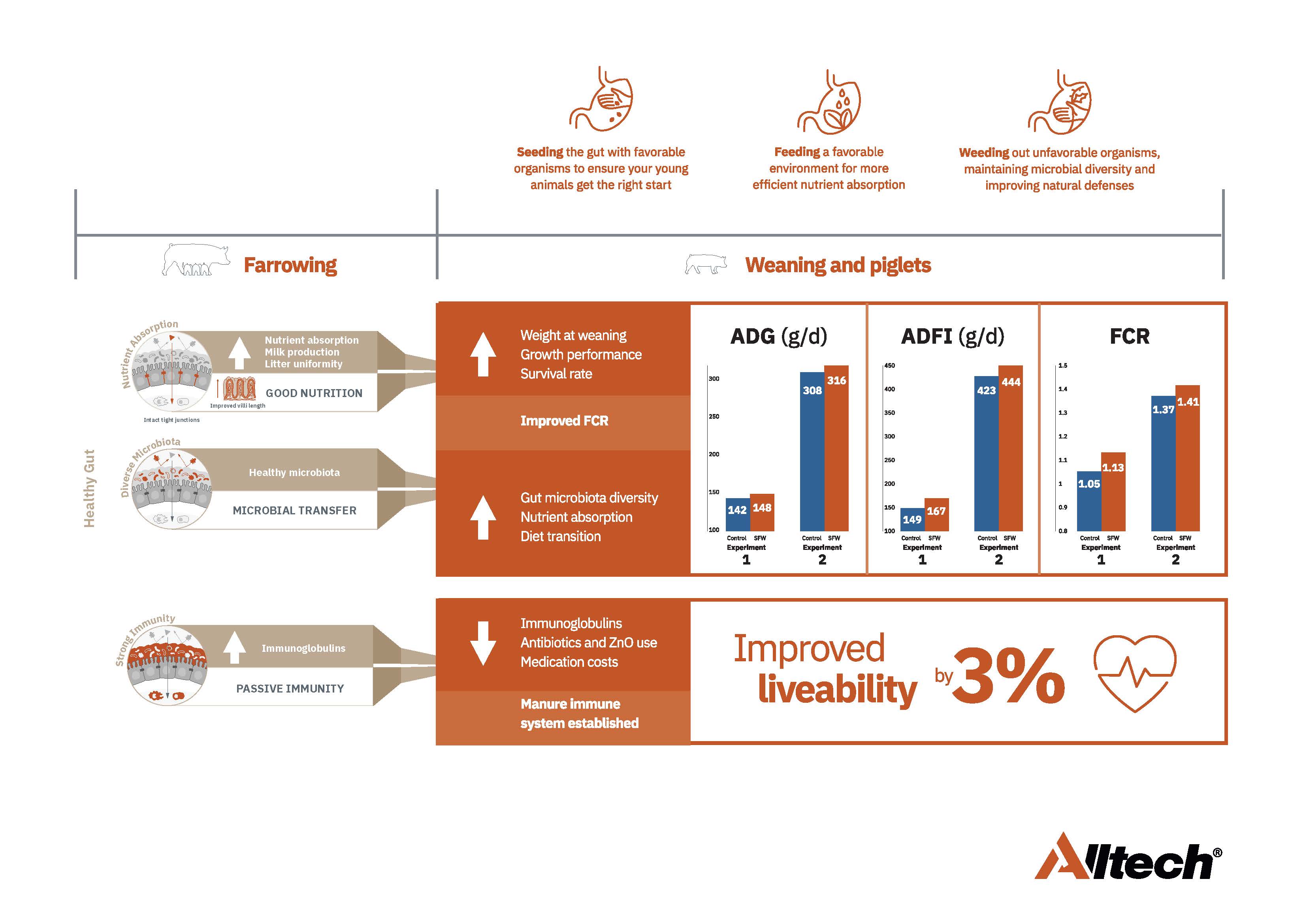 ZnO infographic