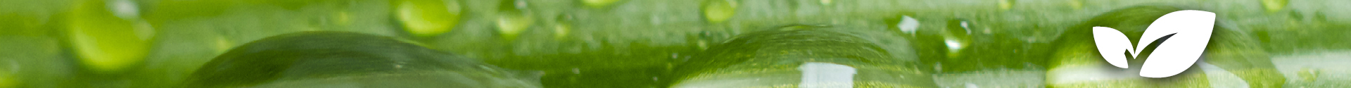 nutrition background image
