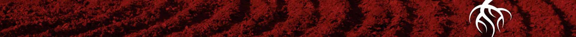 soil background image