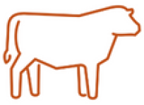 Beef icon