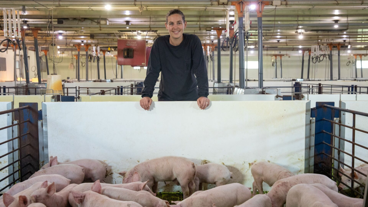 Optimizing pig nutrition: Insights from ASAS Midwest