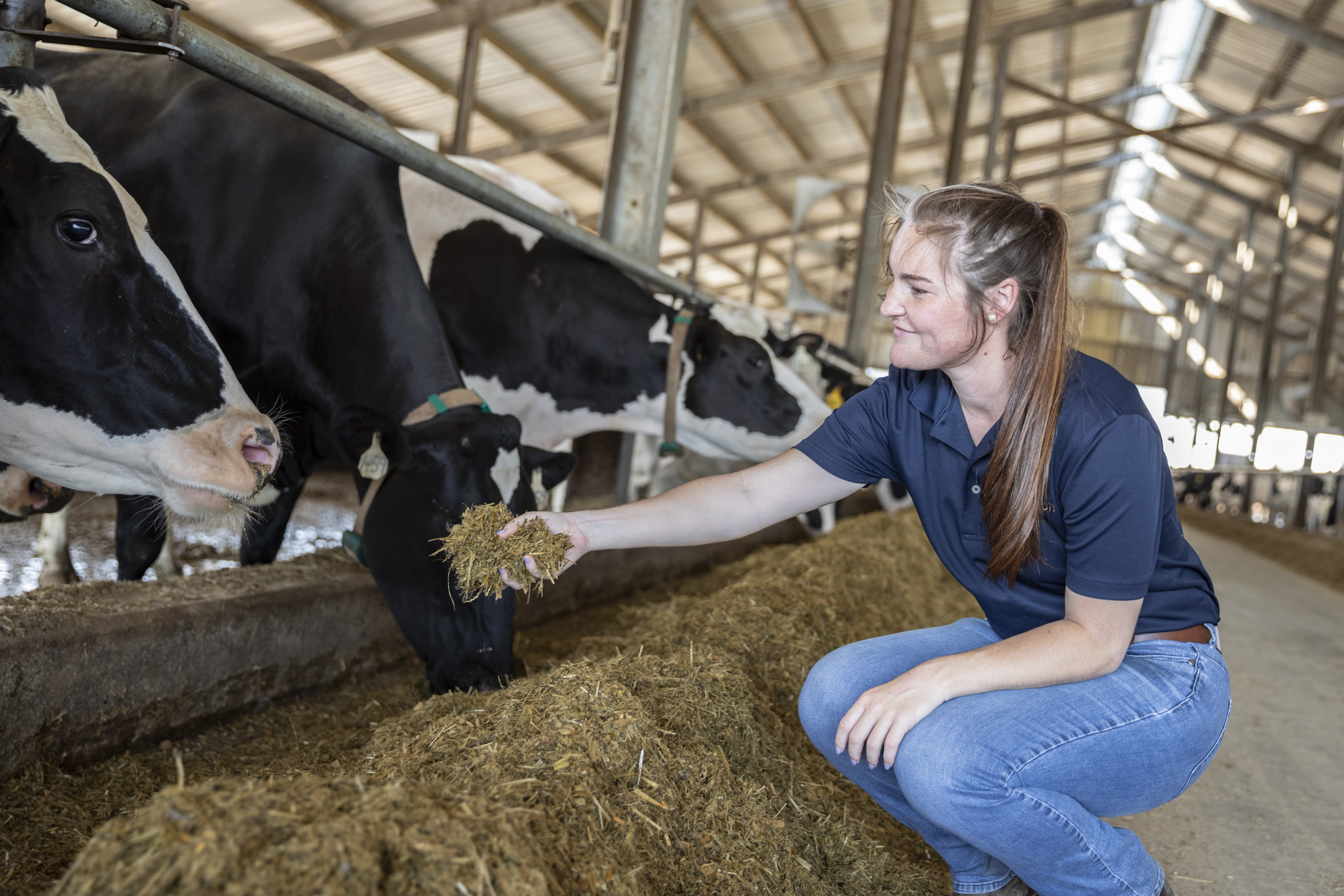 Desarrollo profesional en rumiantes con Alltech Spain