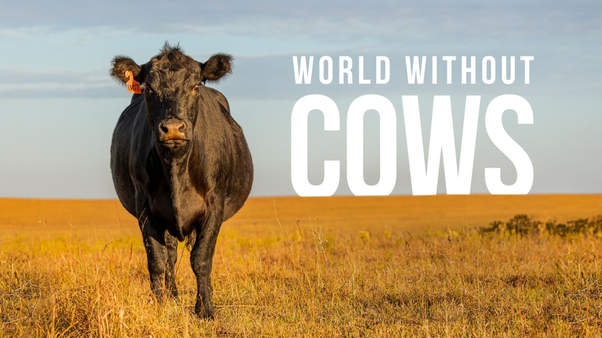  Alltech lança Planet of Plenty LLC para fomentar educação, storytelling e criar consciência na indústria agropecuária