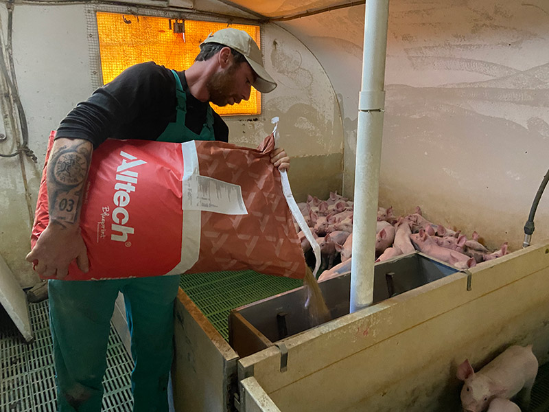 Alltech customer pouring pig feed