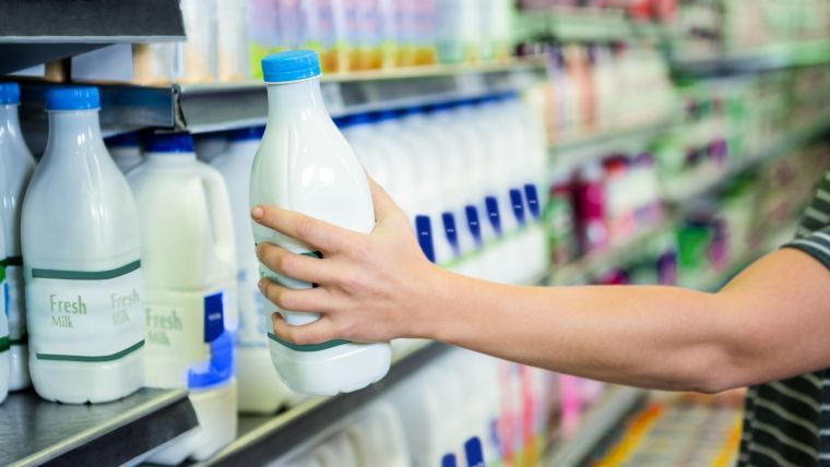 A2 milk takes the stores by storm | Alltech