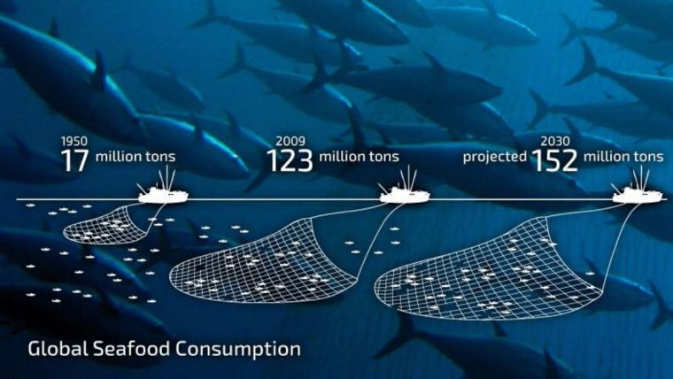 Sustainable fishing and its benefits to our environment