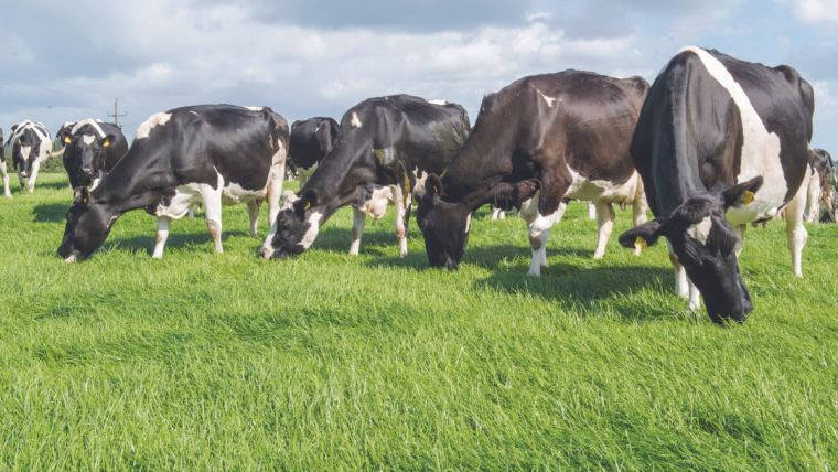 Alltech encourages livestock producers to start winter feeding preparation now for best results 