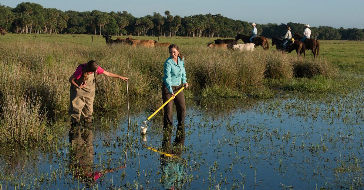 Archbold-Alltech research alliance results confirm environmental ...